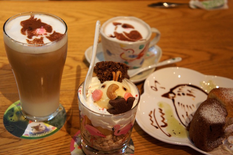 Cafe Poko no Mori, a cafe where you can meet birds - Misa's Odekake Blog